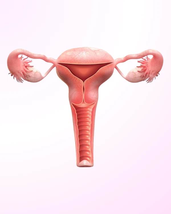 Best Hysterectomy Services in Jubilee Hills – Dr. Jasmin Rath