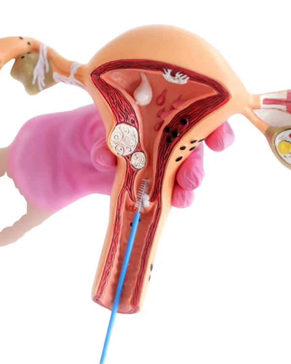 Dr. Jasmin Rath Clinic Services – Image Gallery