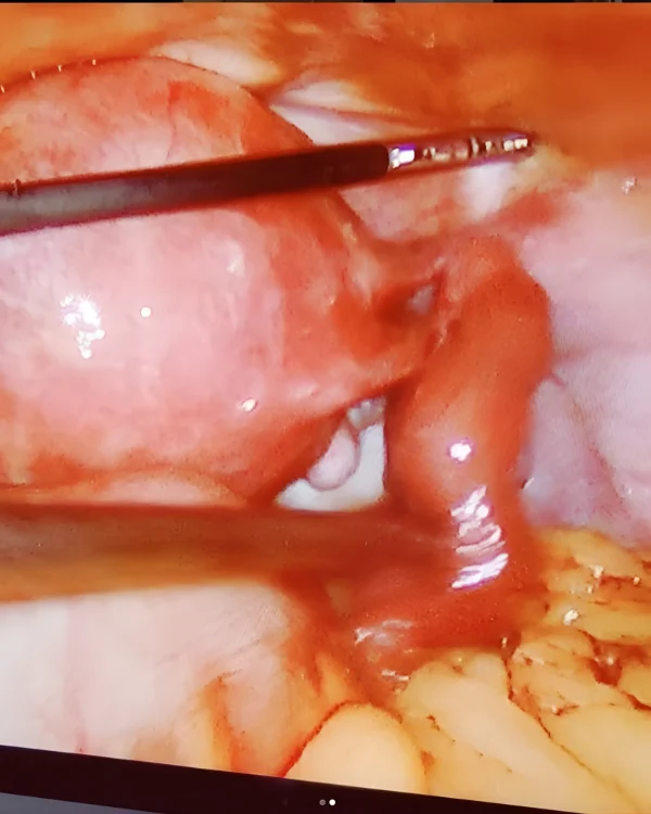 Dr. Jasmin Rath Clinic Services – Image Gallery