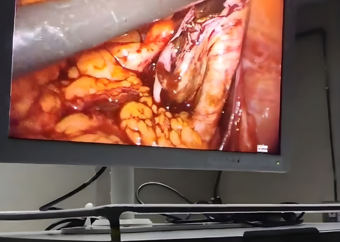 Dr. Jasmin Rath Clinic Services – Image Gallery